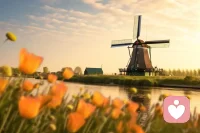 如果你与某个人相处非常愉快，梗对方都能接住，交流没有任何不适，最大可能，不是你遇见了知己，而是这个人情商阅历极高，他在向下兼容你。配图