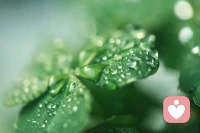 唐僧成功，是因?yàn)橛心繕?biāo)；孫悟空成功，是因?yàn)橛芯o箍咒。豬八戒成功在于有師父引領(lǐng)。沙僧之所以能成功，是因?yàn)楹唵握兆觯慌鋱D