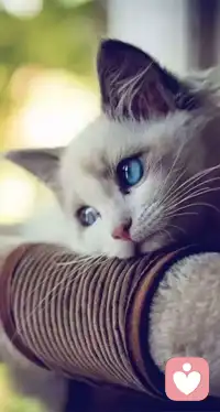 “不离婚，但也不碰你了”：大多数中年女人的婚姻现状。配图