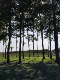 幸福不是尋找快樂，而是學(xué)會與內(nèi)心的痛苦和諧相處。配圖