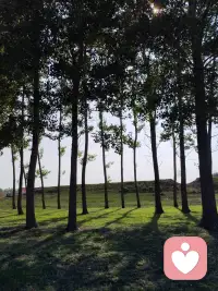 心理學認為?,?很多男人喜歡不斷結交新歡的?,?是有其生理原因的。?心理學家經過研究發現?,?人群中有一種特殊的人?,?即對多巴胺?、?后葉催產素等愛情激素?“?上癮?”?的人?。?這?樣的人?,?一旦體內的后葉催產素等激素水平消退?,?就會通過另尋新歡再次獲得刺激源?,?從而享受激素高?分泌帶來的極度愉悅興奮?,?這就是我們通常所說的花心?﹑?喜新厭舊的人?。?花心的男人容易為女人動情?,?也容易讓女人傾倒?,?但朝三暮四?,?處處留情不守情?。?多巴胺帶來的?“?激情?”,?會給人一種錯覺?,?以為愛可以永久狂熱?。?不幸的是?,?它通常只會持續一年半到三?年?。?在遇到新目標的時候?,?才會重新點燃這種激情?。?因此男人花心?,?那是必定的?。配圖