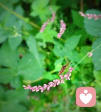 教育之道，唯愛和榜樣!
羅翔老師說，“千萬別把勁兒使在孩子身上，如果你自己每天充實(shí)快樂，有責(zé)任感，情緒穩(wěn)定，孩子會(huì)模仿你的。

教育從來不是要求，而是影響。教育之道無他，唯愛和榜樣而已。真正覺醒的家庭，只改變自己，不改變孩子。”

一個(gè)家的家風(fēng)，就是支撐孩子行動(dòng)的精神內(nèi)核，好的家風(fēng)就是孩子乘風(fēng)破浪的帆。而最好的家風(fēng)是，妻子尊重丈夫，丈夫珍愛妻子，老人愛護(hù)幼子，幼子尊敬老人。一家人始終相親相愛，不因小事而大發(fā)雷霆，不因爛事而遷怒于人，不因難事而萎靡不振，一家人保持情緒穩(wěn)定，能好好說話，會(huì)好好說話。只有在有愛的環(huán)境里，孩子才能像被雨露灌溉一般，長得蓬勃而充滿生命力。配圖