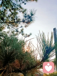 午后的陽光灑進心中，愛已涌上心頭，有故事的你，在嘛！配圖