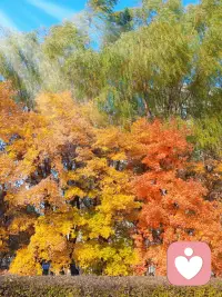 路是走出來的，一步一步走向光明或者黑暗！讓我來傾聽你的故事，感受你的心路歷程配圖