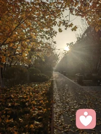 當我們用愛去迎接美好的時光，卻被刺眼的光照得睜不開眼睛，失去了愛的方向。讓我們用陪伴，去療愈躁動的心靈！配圖