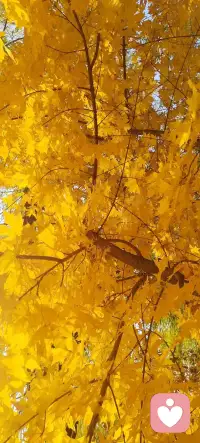 冬日的暖陽，照進你我心中，你有故事還有傾聽的我！配圖