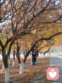 那些曾經的點點滴滴，如同秋日里的落葉，輕輕飄落，卻又在心中留下了深深的印記。每一次回望，都能感受到那份溫暖與感動，它們是我生命中最寶貴的財富。配圖