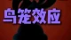 鳥籠效應，讓他離不開你！