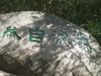 傾聽是心靈之花。傾聽能折射出純潔而熱情的光芒。傾聽是一縷清風，它能吹散籠罩在人們心頭的陰霾；傾聽是劃破漆黑夜幕的流星，能給人們帶來希望；傾聽是一朵開不敗的花，它能綻放著生命之蕊，換取人們的欣賞和信任。配圖