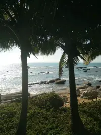 我愿做你忠實的傾聽者，
我愿做你忠誠的擁護者，
我愿做你忠心的守衛者，
你的斑斕，我想共君賞。
你的荒蕪，我愿與君同。
你的一切痛苦，你的所有苦難，我都想和你一起面對度過。
而我最怕的，是你不說。
我一直都在你身后，只要你愿意回眸，就能看到我。
我在，一直都在，等待你的呼喚。配圖
