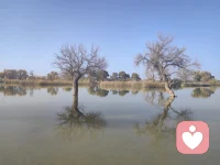 共情陪伴的四個層次：換位思考、感同身受、積極回應、正向引導配圖