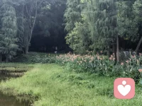 “愛也是一種試探，看我們能付出多少不求回報，看我們能堅持多久不問結果。配圖