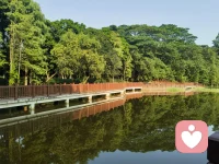 感謝我的來訪。我曾自大以為我療愈了他們。實際他們是被安排來幫助我成長的，我在這個過程中收獲了新的感悟。感恩每一個信賴我的來訪者！愿你們心中永遠存有一米陽光！配圖