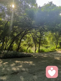 不肯放低期待，不肯改變，那你就做好繼續(xù)痛苦的準(zhǔn)備。咨詢之中的陣痛是難免的。
也許你覺得這話很殘忍。
若你遮遮掩掩，不找到傷口。又何談療愈？配圖