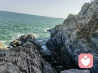 來自資深前輩的合理化建議！
Thank you！配圖