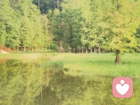 覺察自己的行為和感受。對方的行為背后的動機是什么？配圖