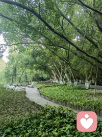 眼里有光，心里有愛，口袋里有錢！
怕什么？小三，小四？
你提升了，你可以創(chuàng)造一個新的人生！配圖