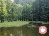 在戀愛中，切勿過于將對方視為一回事，或者說，無論你有多喜歡某人，也不能太急。配圖