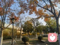 去掉心里的陰暗，走向有光的地方！配圖