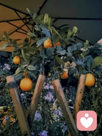 今天的你，過得好嗎？配圖