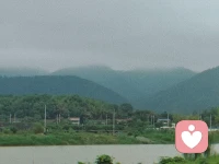 我與我周旋久，寧作我。配圖