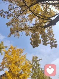 莫負好時光…配圖