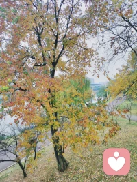 “日暮伯劳飞，风吹乌臼树。”

有我之境，以我观物，故物我皆著我之色彩。配图