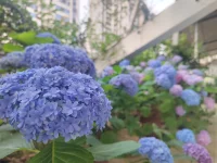 被討厭的勇氣配圖