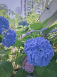 被討厭的勇氣配圖