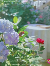 其实，你什么都没失去。配图