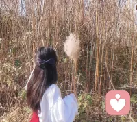 今天看完了韩剧《我的大叔》……
如果你现在很难过，
去看这部剧吧！