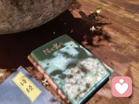 一切都是最好的安排，连那朵花也落在了刚刚好的位置上～