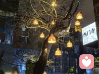 愿我们都能无条件地关爱自己～