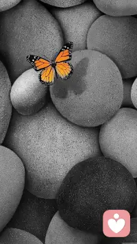 只要你不倒，沒人能打倒你；
只要你自己站住了，你才能打倒對手和傷害你的人！配圖