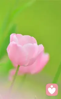 遭受拒絕帶給我們尖銳的痛苦；孤獨引發(fā)毀滅性的疼痛；喪失使我們的生活破碎不堪；難以擺脫的內(nèi)疚感，毒害了我們的安寧和人際關系；對痛苦的反芻傾向很快會發(fā)展為焦慮和沮喪；失敗導致極度的絕望；自卑則是我們拒絕別人的幫助。
我們經(jīng)常性地遭受情緒創(chuàng)傷，如同經(jīng)常性地遭受身體創(chuàng)傷。
失敗，內(nèi)疚，被拒絕和喪失是我們生活的一部分。
但是對于大多數(shù)人來說，我們自然而然地包扎傷口，或者冰敷扭傷的腳踝，而應對情緒傷害的急救箱卻空空如也。
幸運的是，我們找到了一些方法，它們就好像精神急救工具，可以用來治療受傷的情緒。配圖