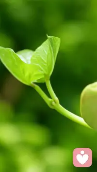 遭受拒絕帶給我們尖銳的痛苦；孤獨引發(fā)毀滅性的疼痛；喪失使我們的生活破碎不堪；難以擺脫的內(nèi)疚感，毒害了我們的安寧和人際關系；對痛苦的反芻傾向很快會發(fā)展為焦慮和沮喪；失敗導致極度的絕望；自卑則是我們拒絕別人的幫助。
我們經(jīng)常性地遭受情緒創(chuàng)傷，如同經(jīng)常性地遭受身體創(chuàng)傷。
失敗，內(nèi)疚，被拒絕和喪失是我們生活的一部分。
但是對于大多數(shù)人來說，我們自然而然地包扎傷口，或者冰敷扭傷的腳踝，而應對情緒傷害的急救箱卻空空如也。
幸運的是，我們找到了一些方法，它們就好像精神急救工具，可以用來治療受傷的情緒。配圖