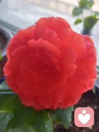 和諧讓一個團隊一事無成，矛盾讓一個團隊碩果累累！
在一個由熟人構成的團隊里，由于彼此間關系深厚，在做決策時很少有人直白地提出反對意見，由此帶來的后果就是一團亂麻。
有趣的是，研究發現，在團隊中引入陌生人后，效率會得到大幅提高。
所有人都開始動腦筋，展示自己聰明的一面，同時由于所處圈層不同，大家能夠獲得更多樣的信息，決策的有效率得以提升。
這就是為什么一個團隊需要有摩擦，需要有不確定性，需要有不同的聲音，只有這樣才能激發新思想。配圖