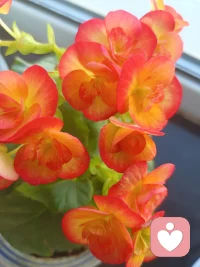 和諧讓一個團隊一事無成，矛盾讓一個團隊碩果累累！
在一個由熟人構成的團隊里，由于彼此間關系深厚，在做決策時很少有人直白地提出反對意見，由此帶來的后果就是一團亂麻。
有趣的是，研究發現，在團隊中引入陌生人后，效率會得到大幅提高。
所有人都開始動腦筋，展示自己聰明的一面，同時由于所處圈層不同，大家能夠獲得更多樣的信息，決策的有效率得以提升。
這就是為什么一個團隊需要有摩擦，需要有不確定性，需要有不同的聲音，只有這樣才能激發新思想。配圖