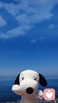 做你自己，不要做做不到的你！
什么是“真的自我”？外在世界的評價給人們的自我認知帶來了太多的桎梏
。如果你認定自己是一個拖延癥患者，那么每次面對相同的情形，你都會以此為借口拒絕改變。
當我們用概念化的自我來引領自己時，就是在讓自己做一個做不到的我。
問問自己:“如果沒有拖延，我會怎么生活？”“如果沒有離過婚，我會怎么生活？”“如果沒有抑郁癥，我會怎么生活？”
與那些自我評價、身份認同、以及強加于人的普適觀念進行解離，找到層層包裹之下的那個真實的自己。配圖