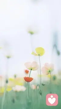 莎士比亞說過:“每當(dāng)你開始一段愛情，這個‘綠眼睛的怪獸’便無時無刻不盤踞在你的心中，無論你是愛的神魂顛倒，還是不十分投入，甚至你并不怎么喜歡對方。”的確，嫉妒——占有、猜忌、怒火與恥辱的綜合體——會讓你瞬間失去理智，每當(dāng)你想起那個“情敵”，強(qiáng)烈的威脅感便會向狂風(fēng)驟雨一般向你襲來。配圖