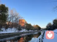 人生是用來體驗的，不是用來演繹完美的，我慢慢接受自己的遲鈍和平庸，允許自己出錯，允許自己偶爾斷電，帶著遺憾拼命綻放。配圖