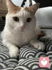 總有一天你會明白，答非所問就是回答，敬而遠之就是不喜歡，沉默不語就是拒絕，閃爍不定就是撒謊，冷戰就是不怕失去。有些事情，真的沒必要追問，所有的細節，都是答案。配圖