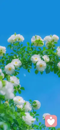 人生恰似一条路，有山重水复的坎坷，也有柳暗花明的坦途。配图