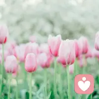 人生如梦，岁月无情。蓦然回首，才发现人活着是一种心情。穷也好，富也好，得也好，失也好。一切都是过眼云烟。想想，不管昨天今天明天，能豁然开朗就是美好的一天。不管亲情友情爱情，能永远珍惜就是好心情。配图