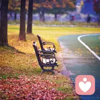 静是一种理智，人的一生，不是得到，而是学到，让心思澄明，让言行磊落；不属于自己的东西，永远不要去碰；流真诚的泪水，露真诚的微笑；如此以往，便不会内疚，不会抱憾，便能坦然处事，让生命充满阳光！配图