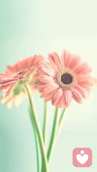 你要安静的优秀，悄无声息的坚强，吃够了当下的苦，未来的甜才会顺理成章。认真过好每一天，该来的都在路上！配图