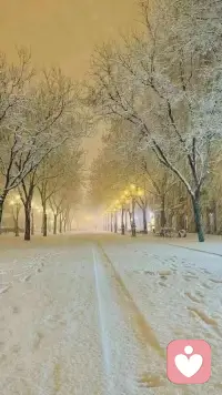 今年冬天的第一场雪，纷飞的瑞雪给大地披上了一件雪白的衣裳，一眼望去，到处白茫茫一片。配图