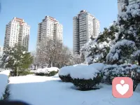 漫天飞雪，如诗如画，为寒冷的冬日增添了一抹温柔。配图