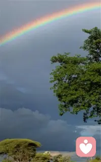 情绪，如彩虹般斑斓，每一种颜色都有其独特的魅力。配图