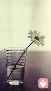 人生如花，綻放無盡美好，保持簡單樂觀的心態，才能在風雨中一路生花。配圖